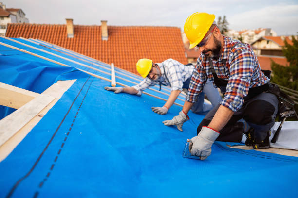 Roof Gutter Cleaning in La Conner, WA
